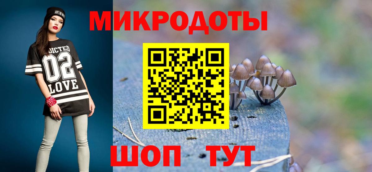Псилоцибиновые грибы Psilocybe  Галлюциногенные грибы прущие грибы  Вход с VPN  хочу   Новозыбков 